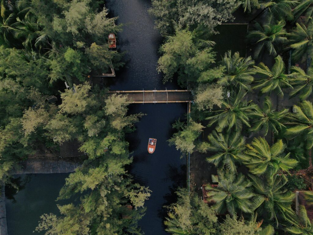 Top-down view of a serene canal surrounded by lush tropical palm trees, featuring boats in Kerala, India.